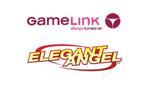 GameLink, Elegant Angel Team Up on ‘Gangbanged 6’ Release