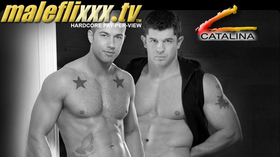 Maleflixxx Adds Catalina Video to Network of Sites