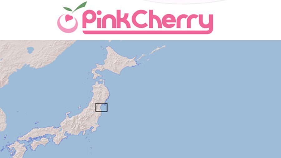 PinkCherry.com Donating Thousands To Japan Earthquake Victims