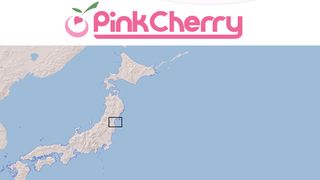 PinkCherry.com Donating Thousands To Japan Earthquake Victims