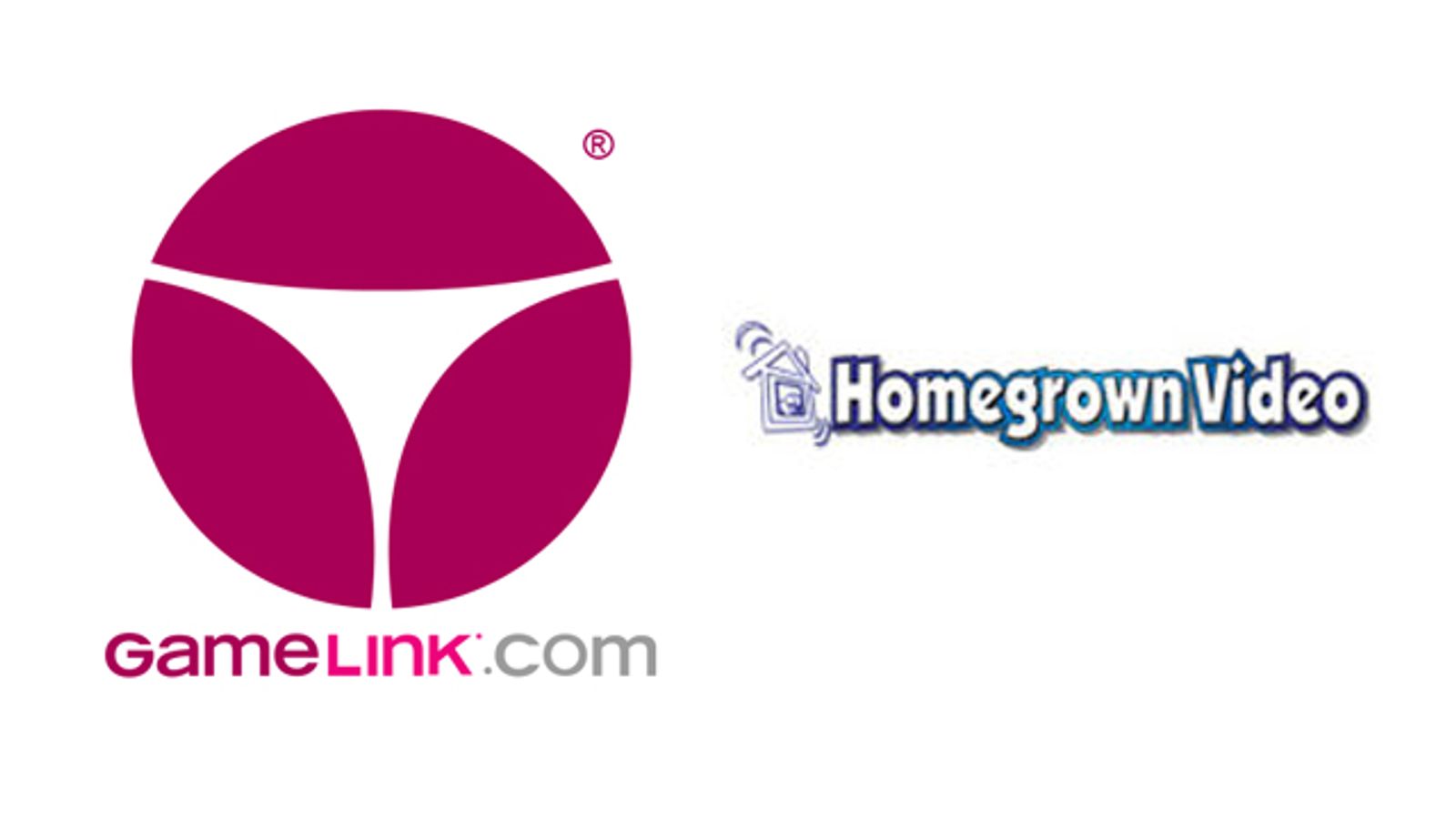 Homegrown Studio Selects GameLink to Manage Online Store