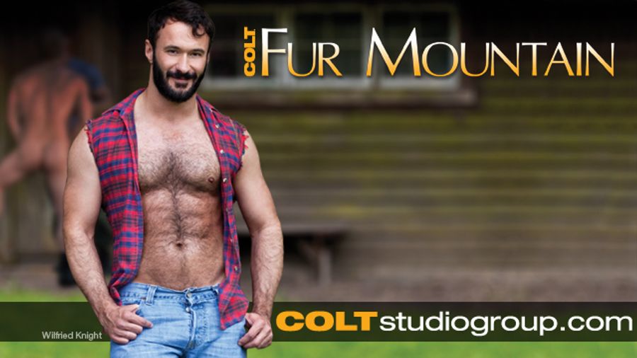 Wilfried Knight Returns to Colt Studio Group for 'Fur Mountain'