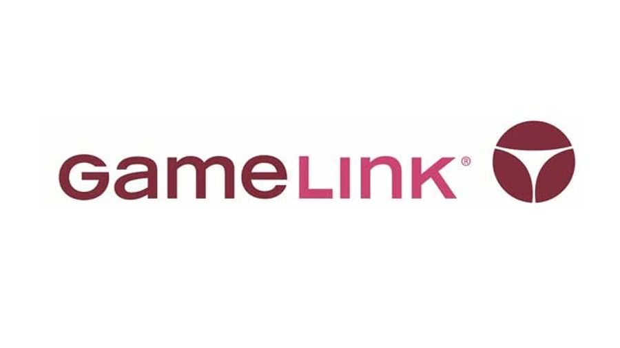 GameLink Finds Election Year Link Between Porn & Politics
