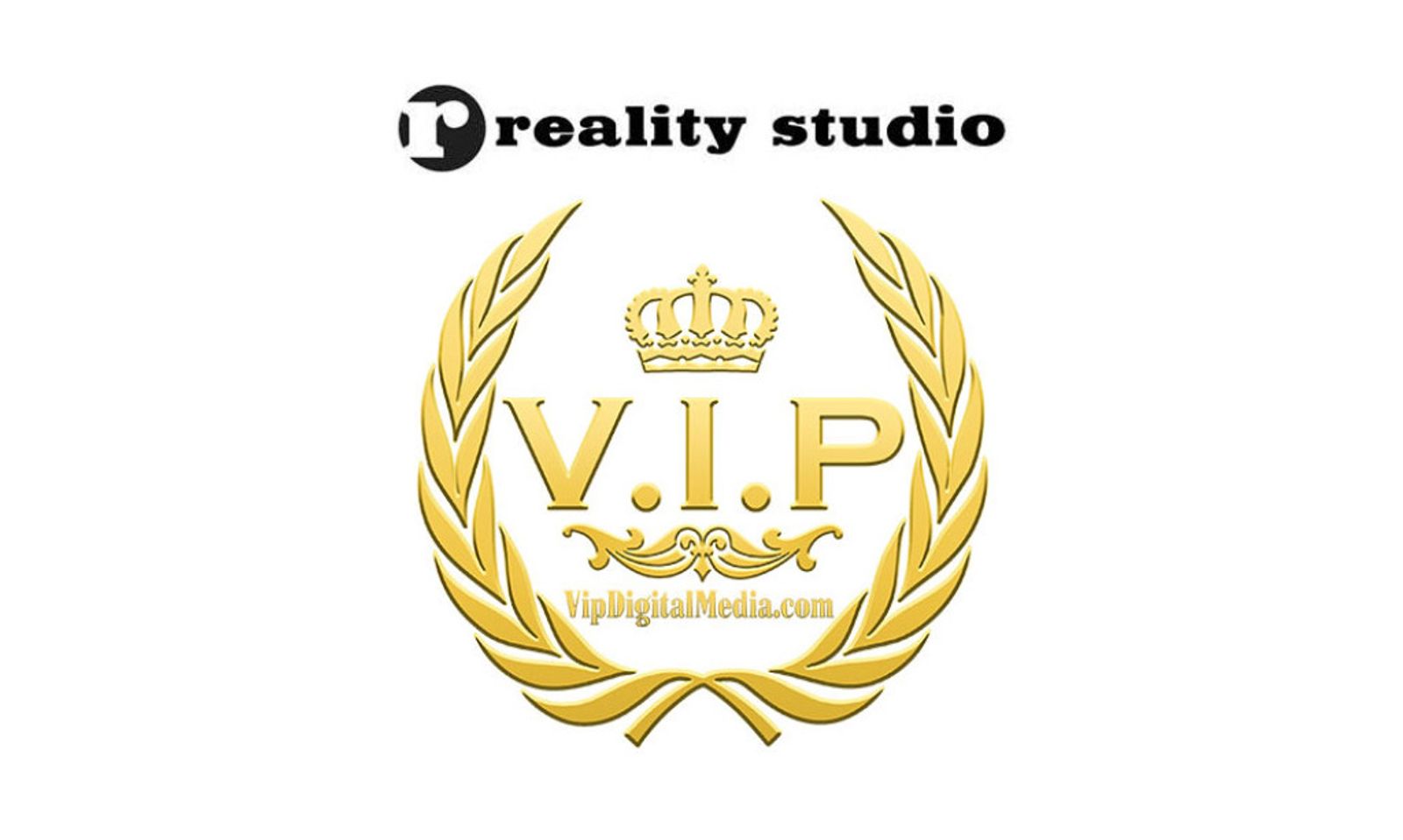 VIP Digital Media Releases Reality Studio's 'Subby Girls 3'