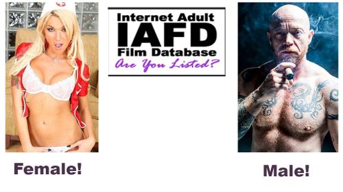 Grooby To Help IAFD Re-Categorize Trans Performers on IAFD.com