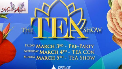 Performer TS Micha Returns as 2017 TEA Sponsor