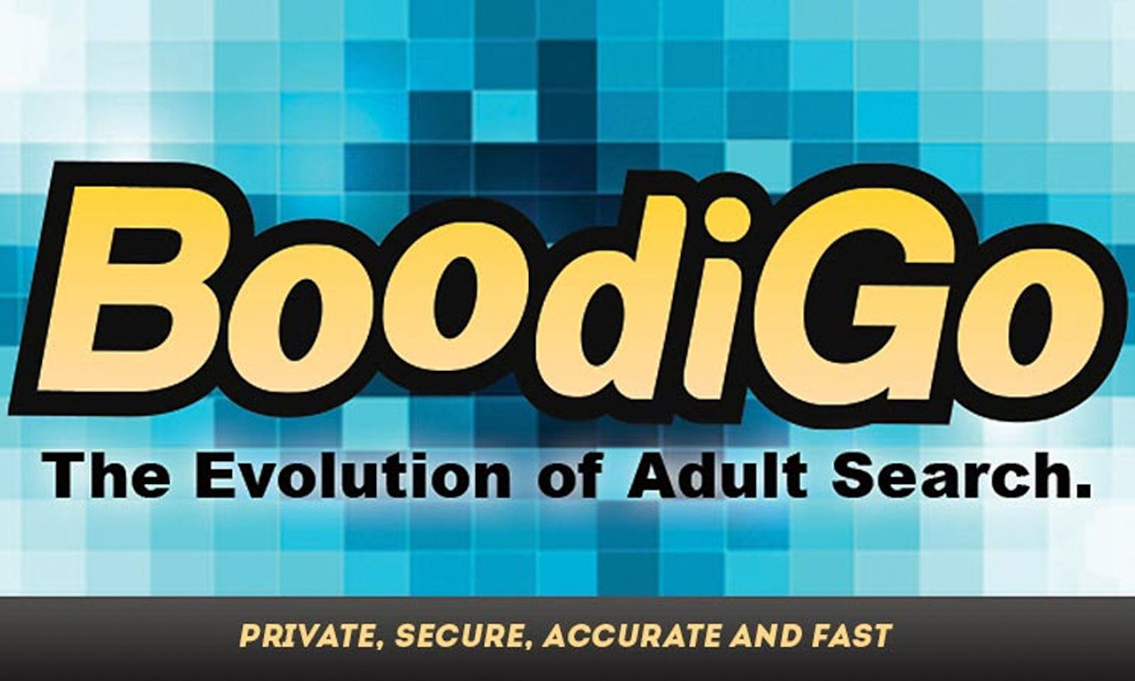 BoodiGo.com Getting Searches From Those With Privacy Concerns