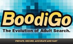 BoodiGo.com Getting Searches From Those With Privacy Concerns