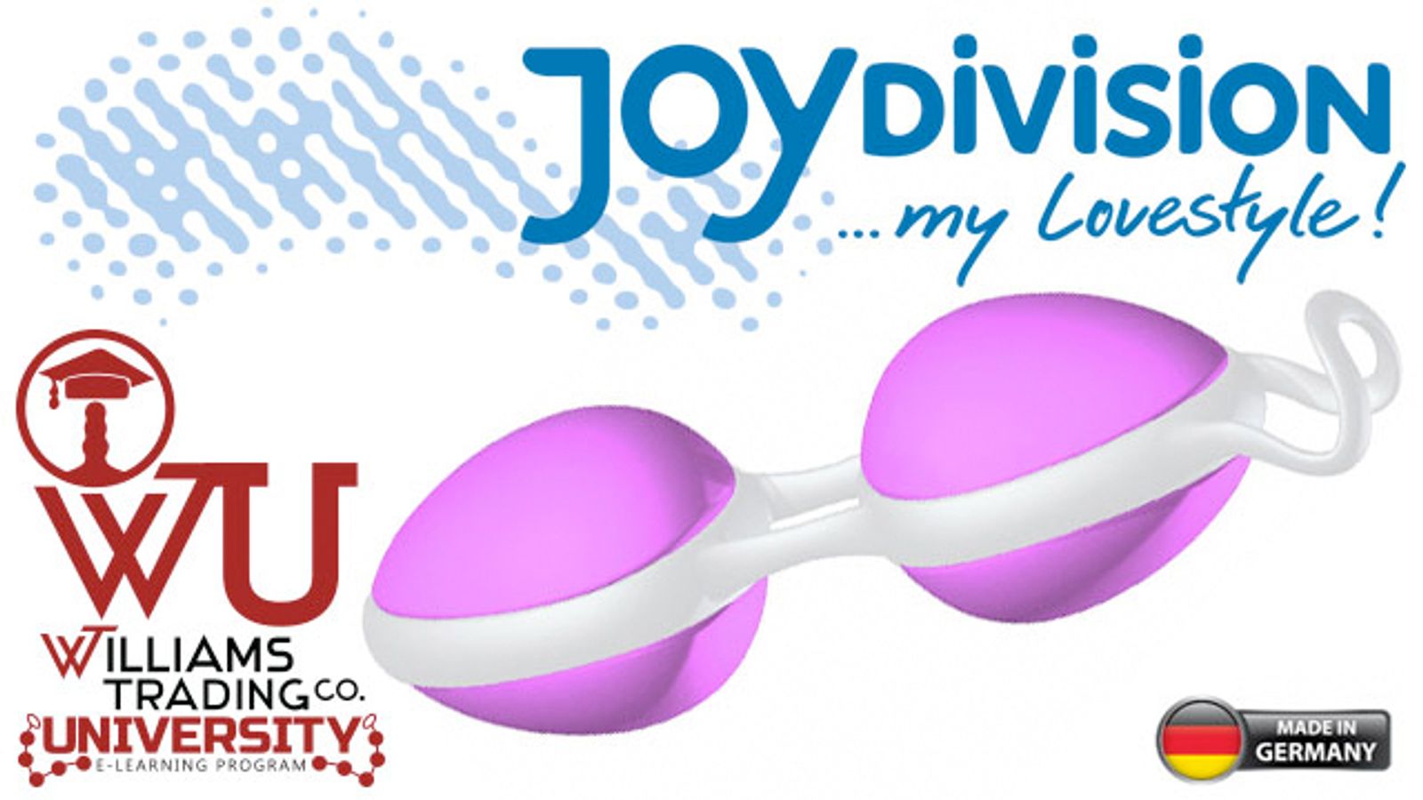 Joydivision Creates Sexual Health, Wellness Training Module For Williams Trading University