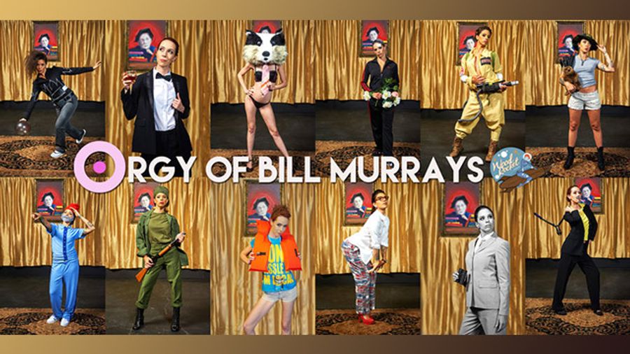 Adult Bill Murray Parody Now On Woodrocket.com