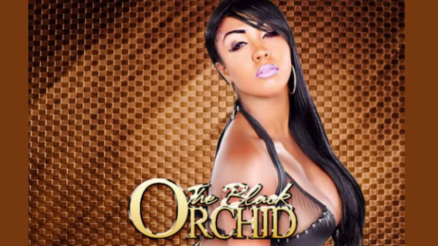 Layton Benton Features at The Black Orchid November 14