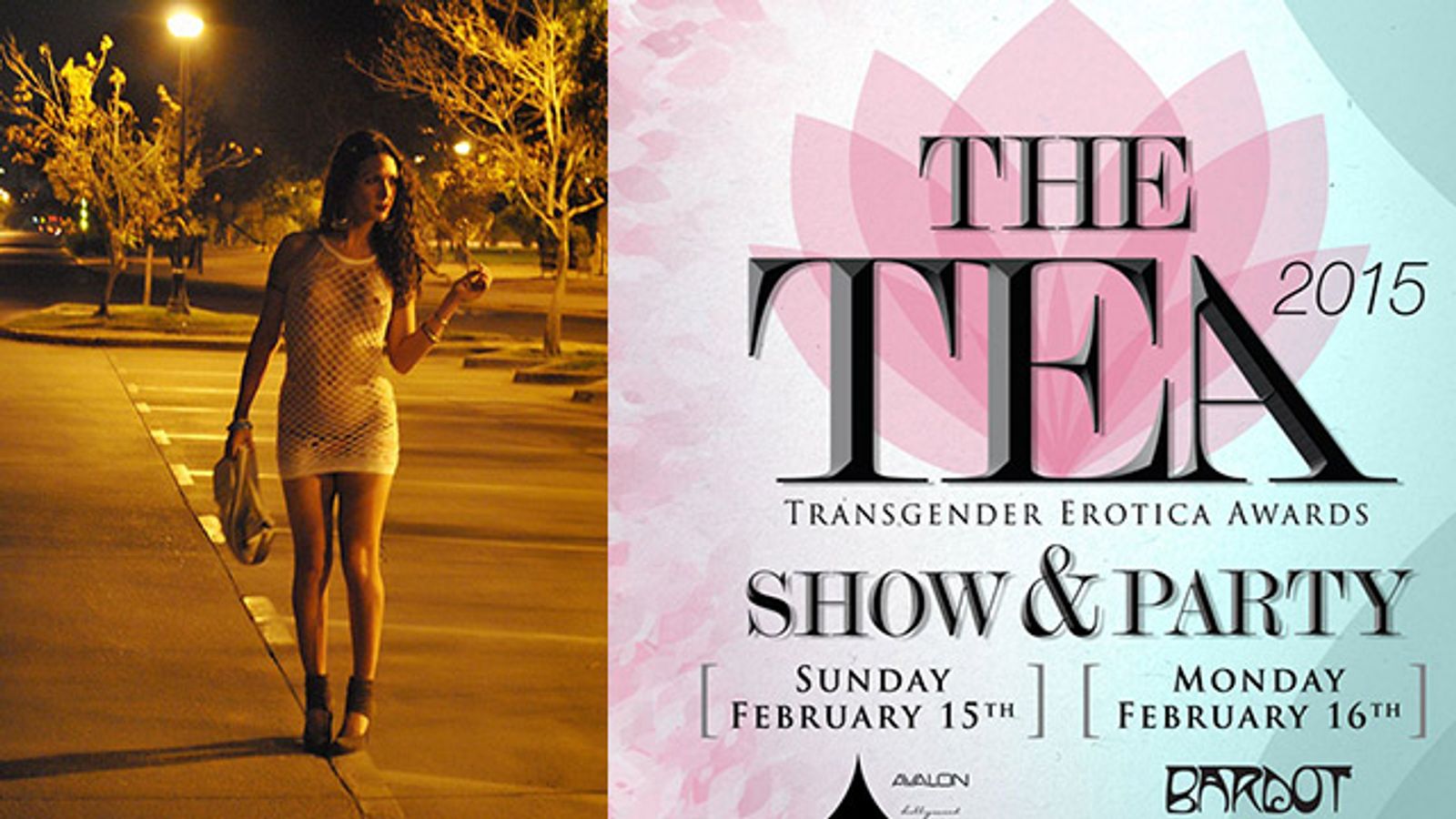 TS Star Nikki Montero Is 7th Transgender Erotica Awards Sponsor