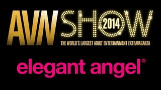 Elegant Angel Takes Home 10 AVN Awards