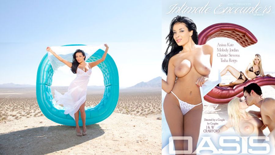 Adult Source Media Earns Four Nominations for 2014 AVN Awards