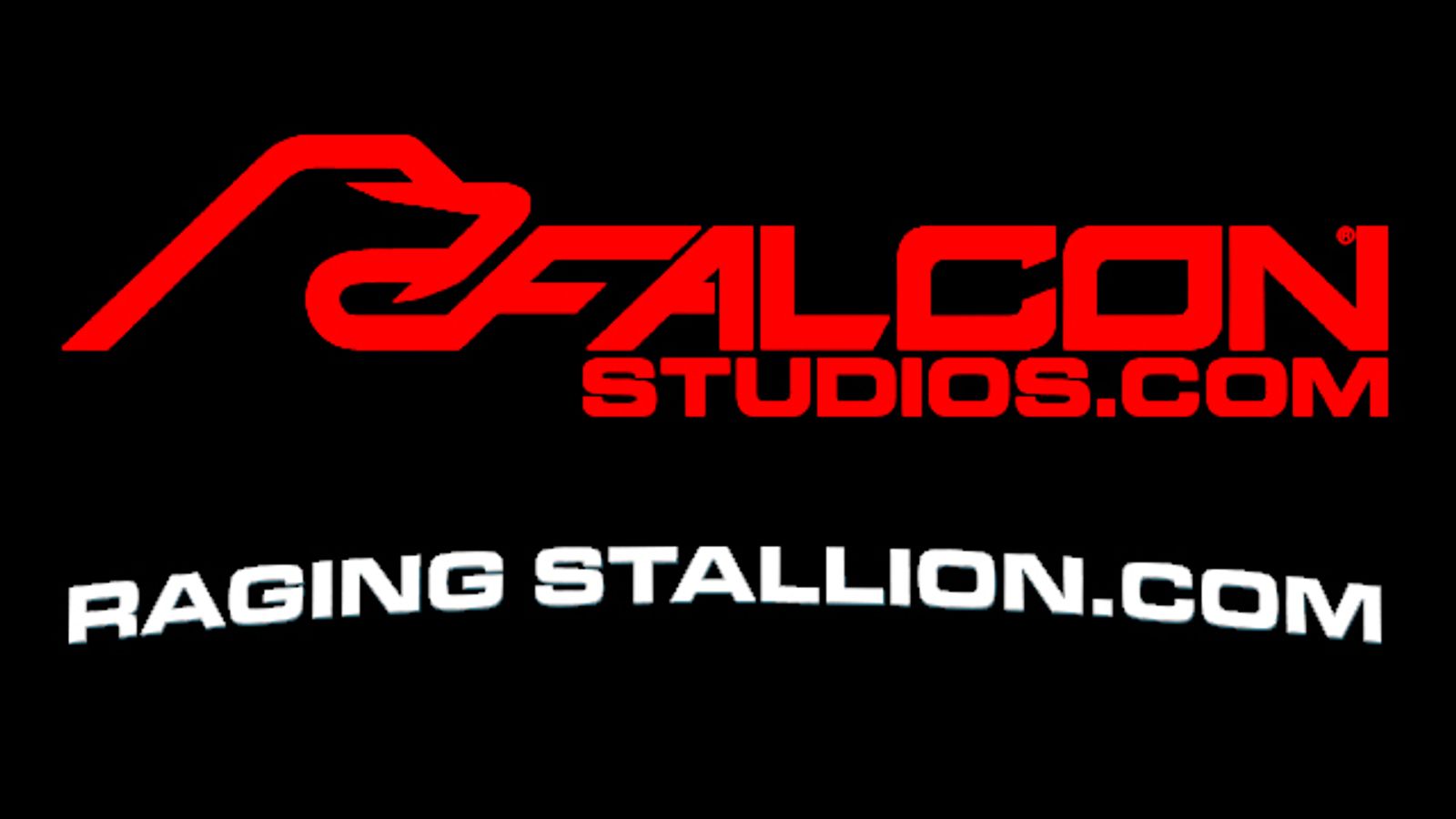 FalconStudios.com and RagingStallion.com Increase Update Frequency