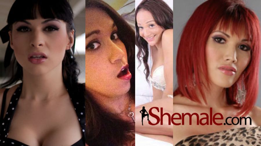Shemale.com Adds Four of the Hottest Transgender Porn Stars