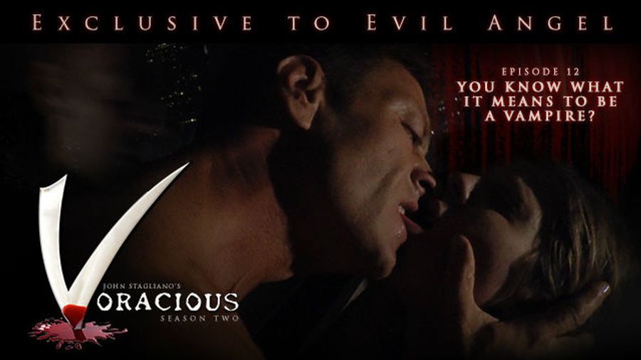 'Voracious Season Two' Has Been Updated on EvilAngel.com