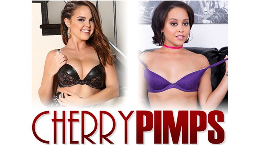 Dillion Harper, Mia Austin Launch Websites Through Cherry Pimps Network