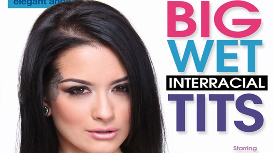 Elegant Angel's 'Big Wet Tits' Go Interracial