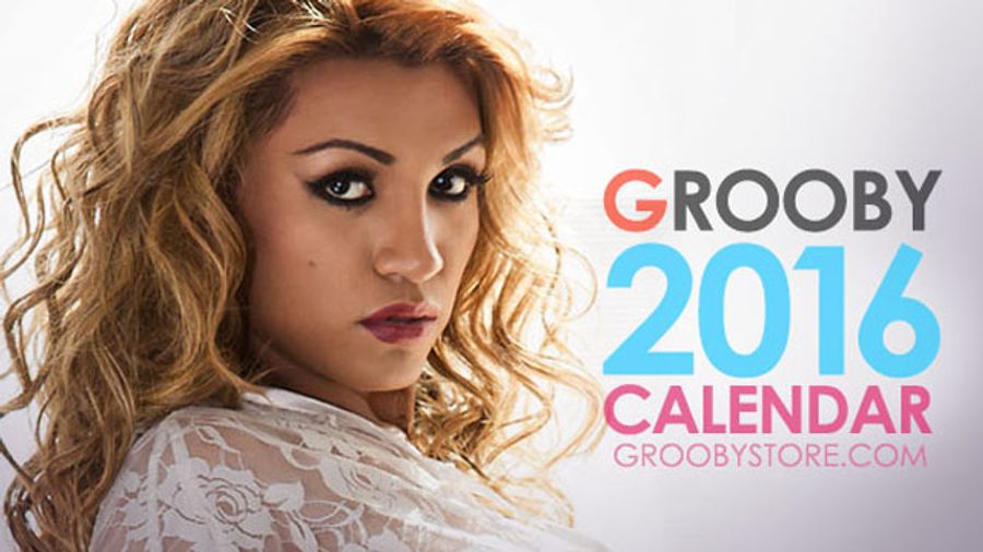 Grooby's 2016 Calendars Features Top TS Models