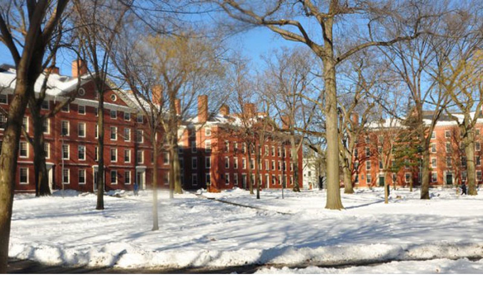 Lovehoney Participates In Harvard Sex Week