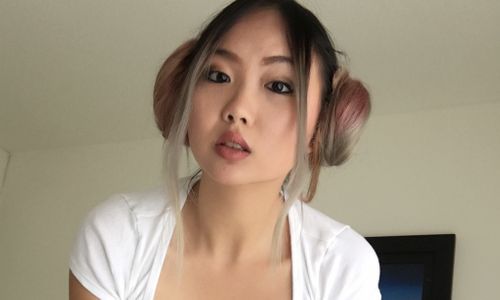 Harriet Sugarcookie Polls Election Voters