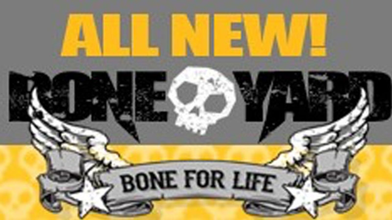 C1R Announces Debut Of Boneyard Toys