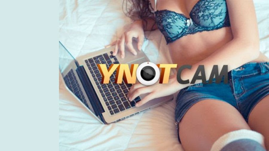 YNOT Cam Launches, Offering Advice to Webcam Models