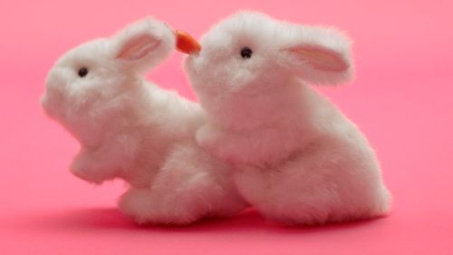 Lovehoney’s New TV Spot Has ’Em Going At It Like Rabbits
