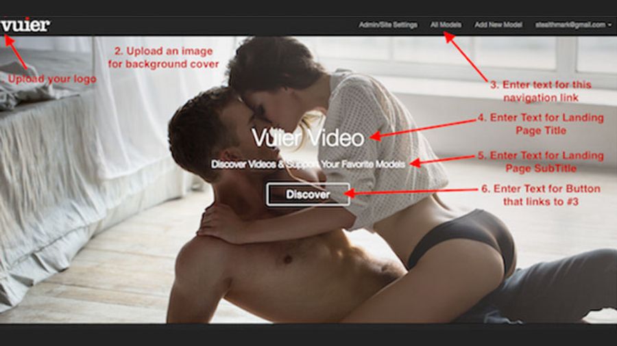 Vuier Video Offers Step-By-Step Website Building