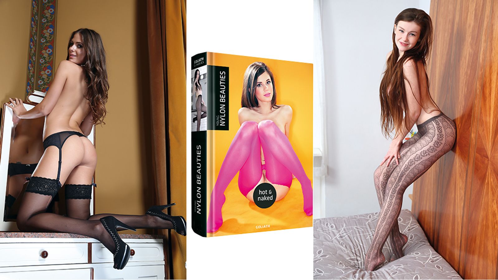 Nylons Your Fetish? Then There's A New Book For You