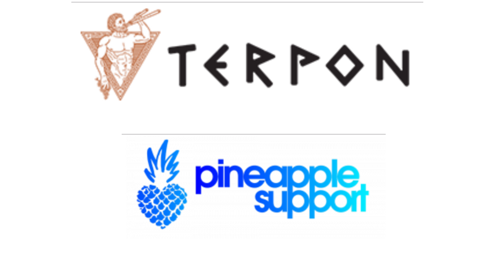 Terpon, Pineapple Support Working Together On Shared Mission