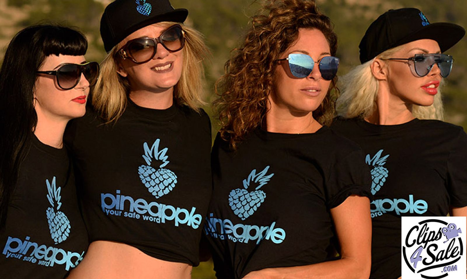 Clips4Sale, Pineapple Support Team Up For Talent Health