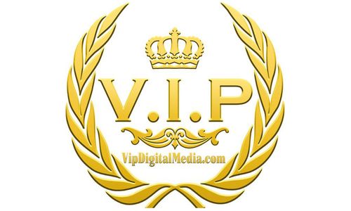 VIP Digital Media's Studios Garner 14 AVN Award Nominations