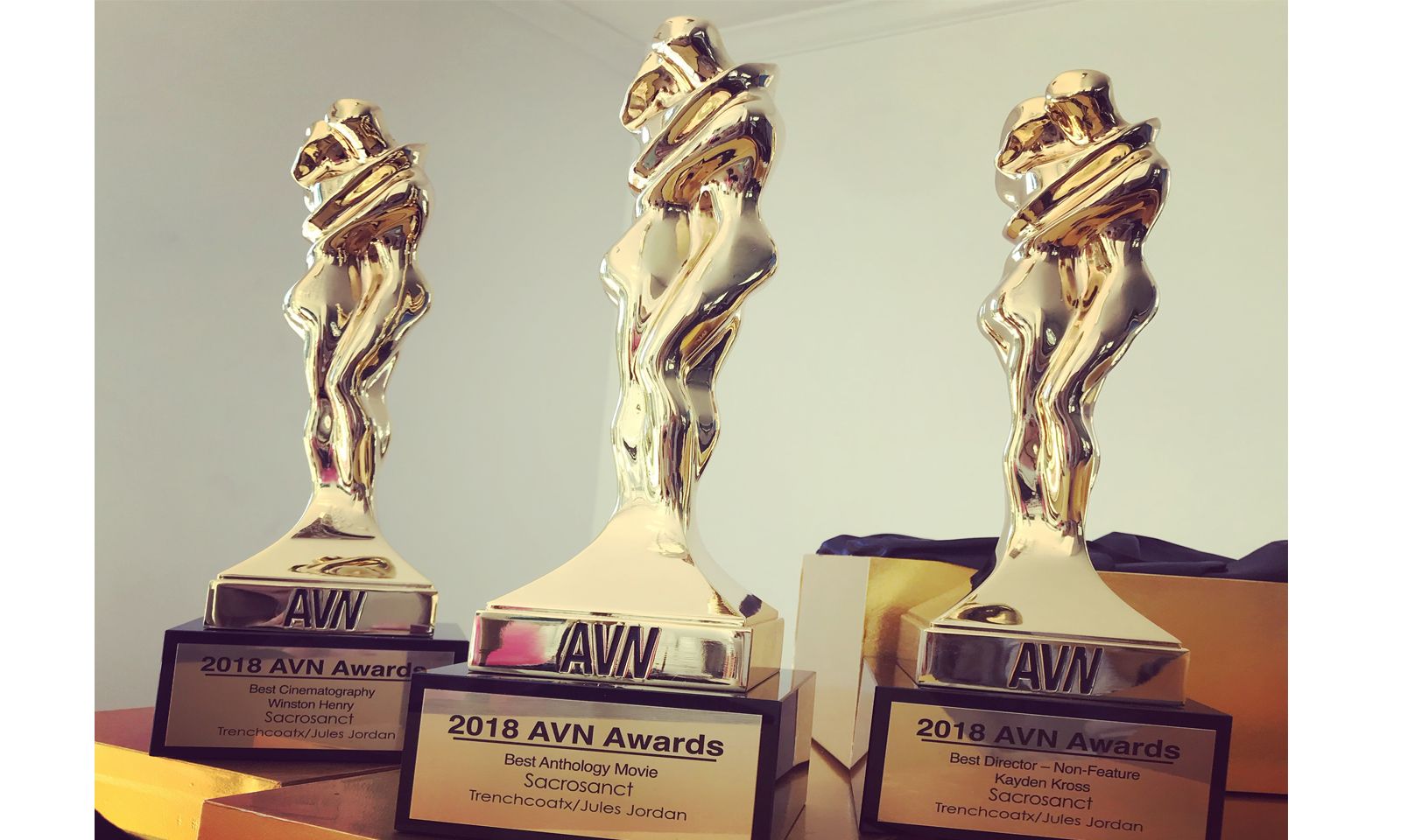 Trenchcoatx and Kayden Kross Bring Home Three 2018 AVN Awards