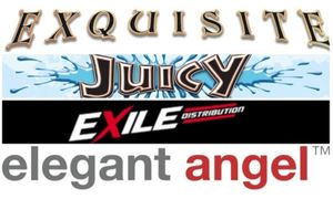 Exquisite Multimedia Takes Home 8 AVN Awards