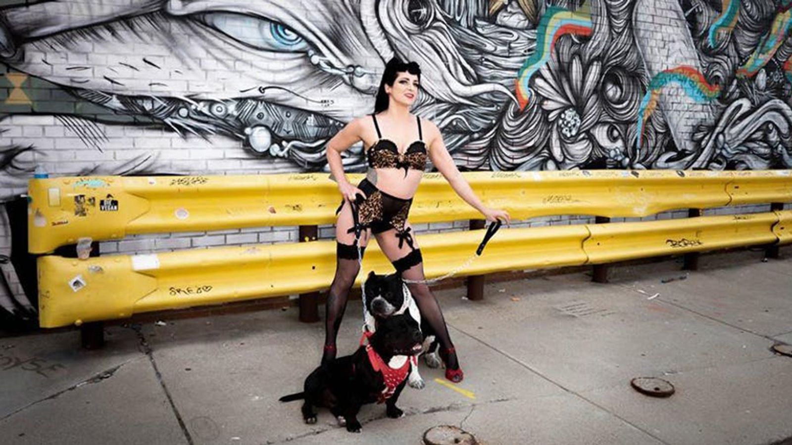 Pretties for Pitties' Burlesque Show To Benefit Toledo Area Dogs