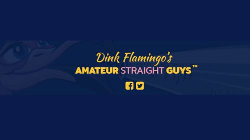 Dink Flamingo Back In Porn, Takes Over Amateur Straight Guys