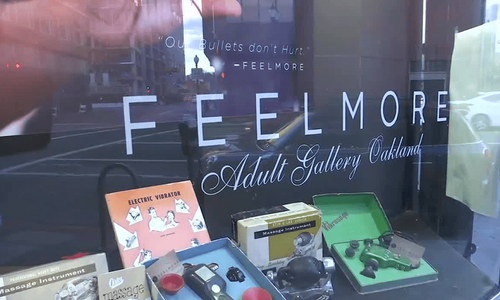 Feelmore Accepting Customer Returns for Amazon Sex Toy Purchases